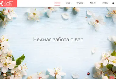 Screenshot of ladyhealthcare.ge