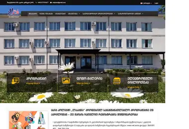 Screenshot of lakada.edu.ge
