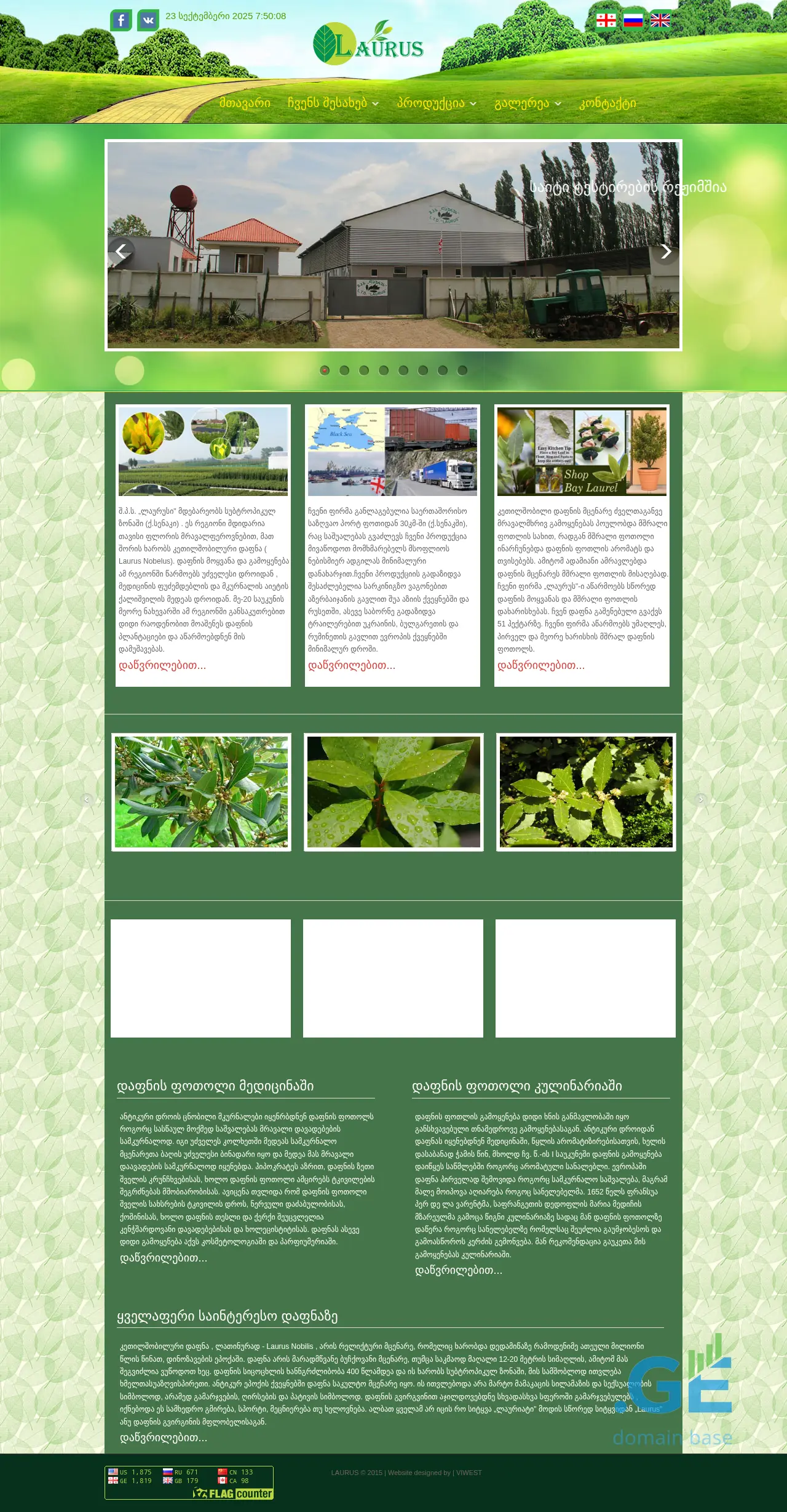 Screenshot of the site laurus.ge