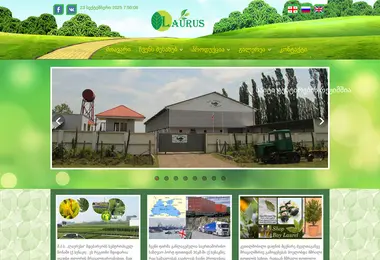 Screenshot of laurus.ge