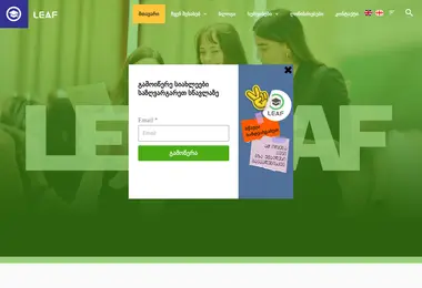Screenshot of leaf.ge