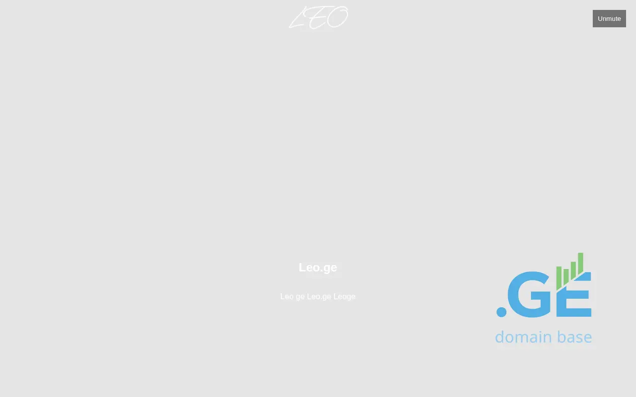Screenshot of the site leo.ge