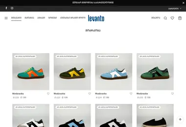 Screenshot of levanto.ge
