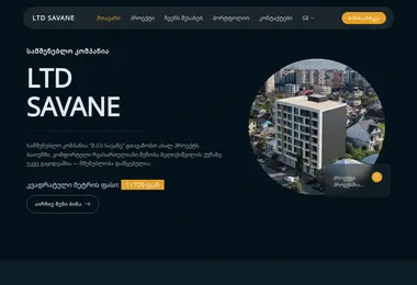 Screenshot of ltdsavane.ge