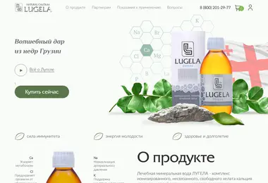 Screenshot of lugela.ge