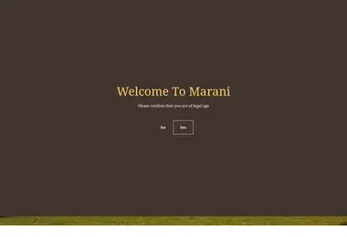 Screenshot of marani.ge