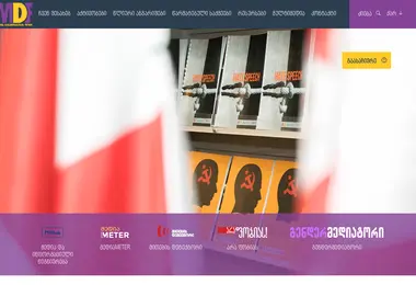 Screenshot of mdfgeorgia.ge