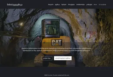 Screenshot of minispecteqnika.ge