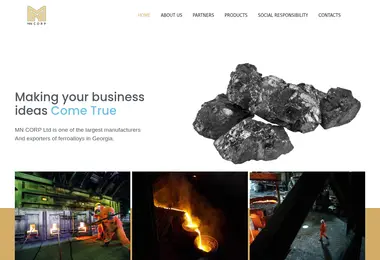 Screenshot of mncorp.ge