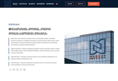 Screenshot of mngroup.ge