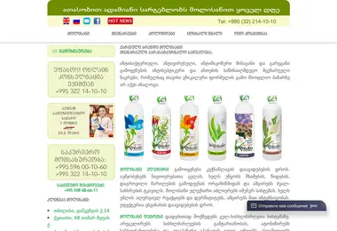 Screenshot of molisan.ge