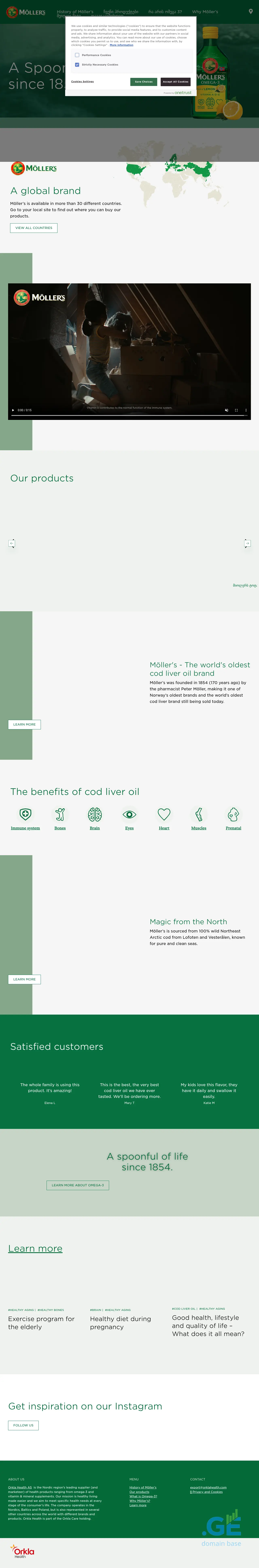 Screenshot of the site mollers.ge