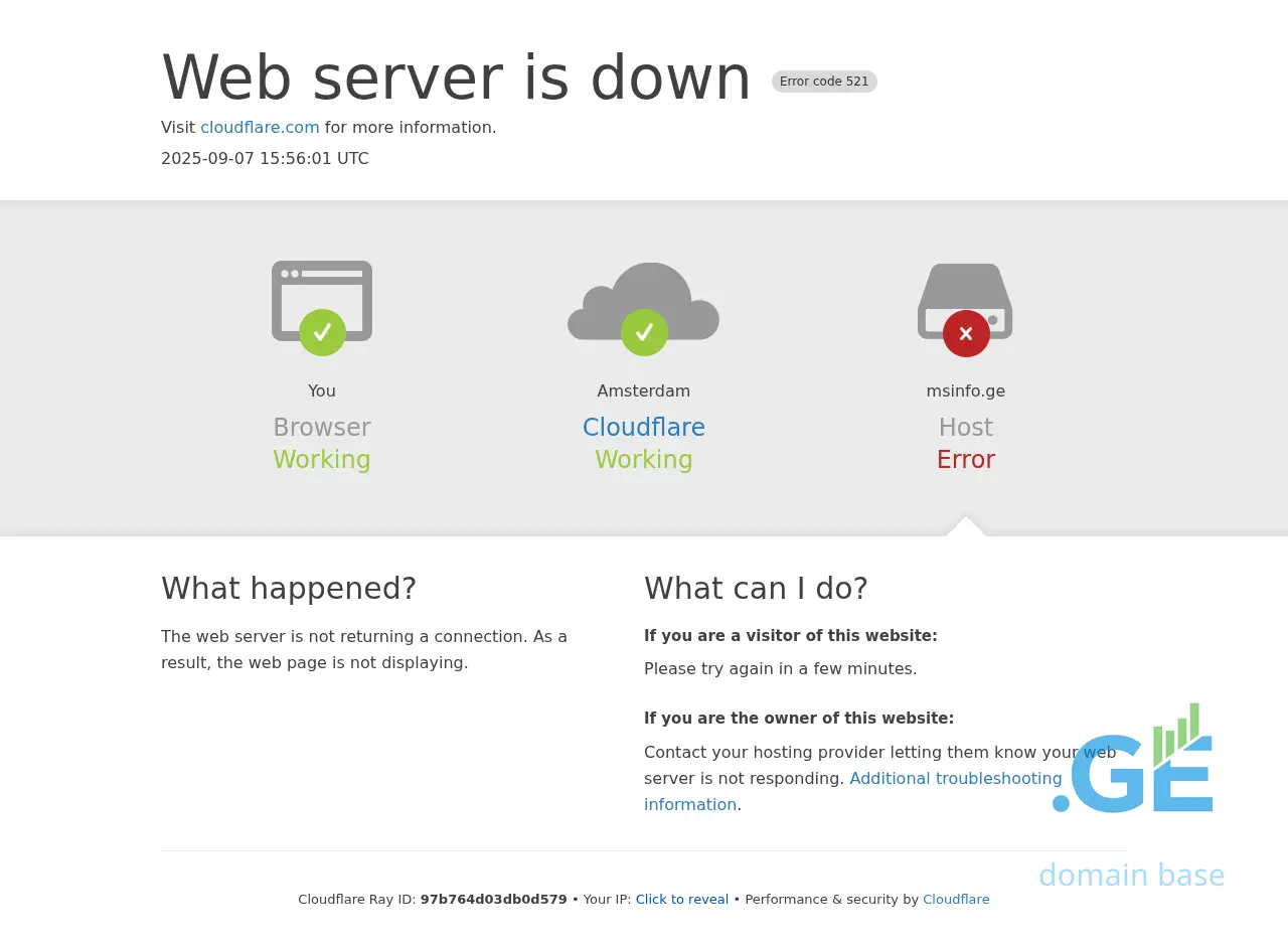 Screenshot of the site msinfo.ge