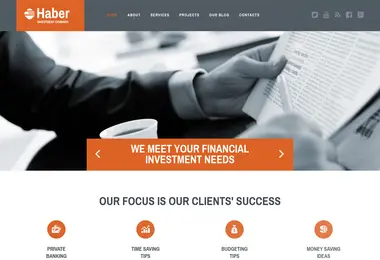 Screenshot of mybiz.ge