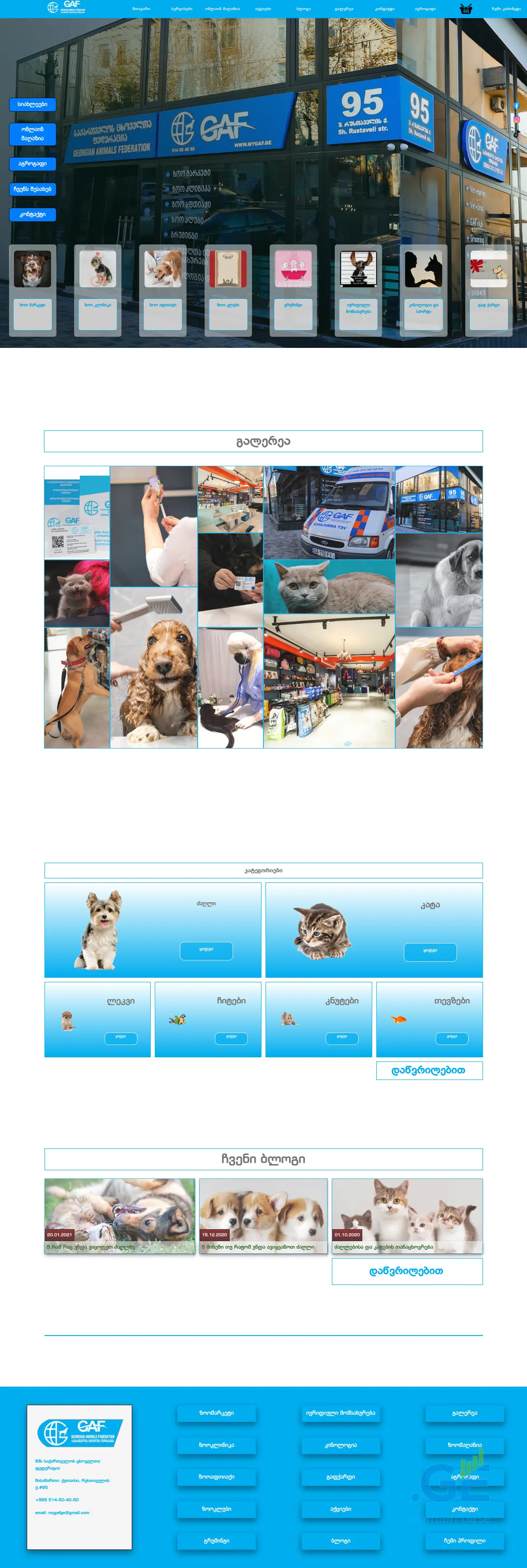 Screenshot of the site mygaf.ge