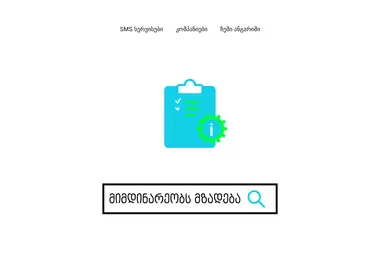 Screenshot of myservices.ge