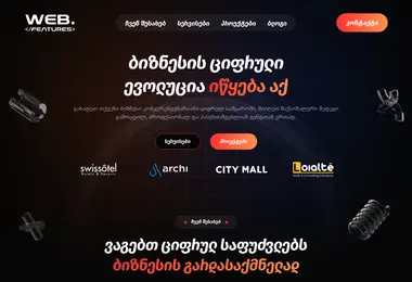 Screenshot of mysoftware.ge