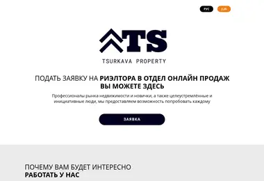 Screenshot of myvacancy.ge