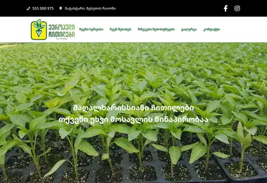 Screenshot of mzachitili.ge