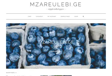 Screenshot of mzareulebi.ge