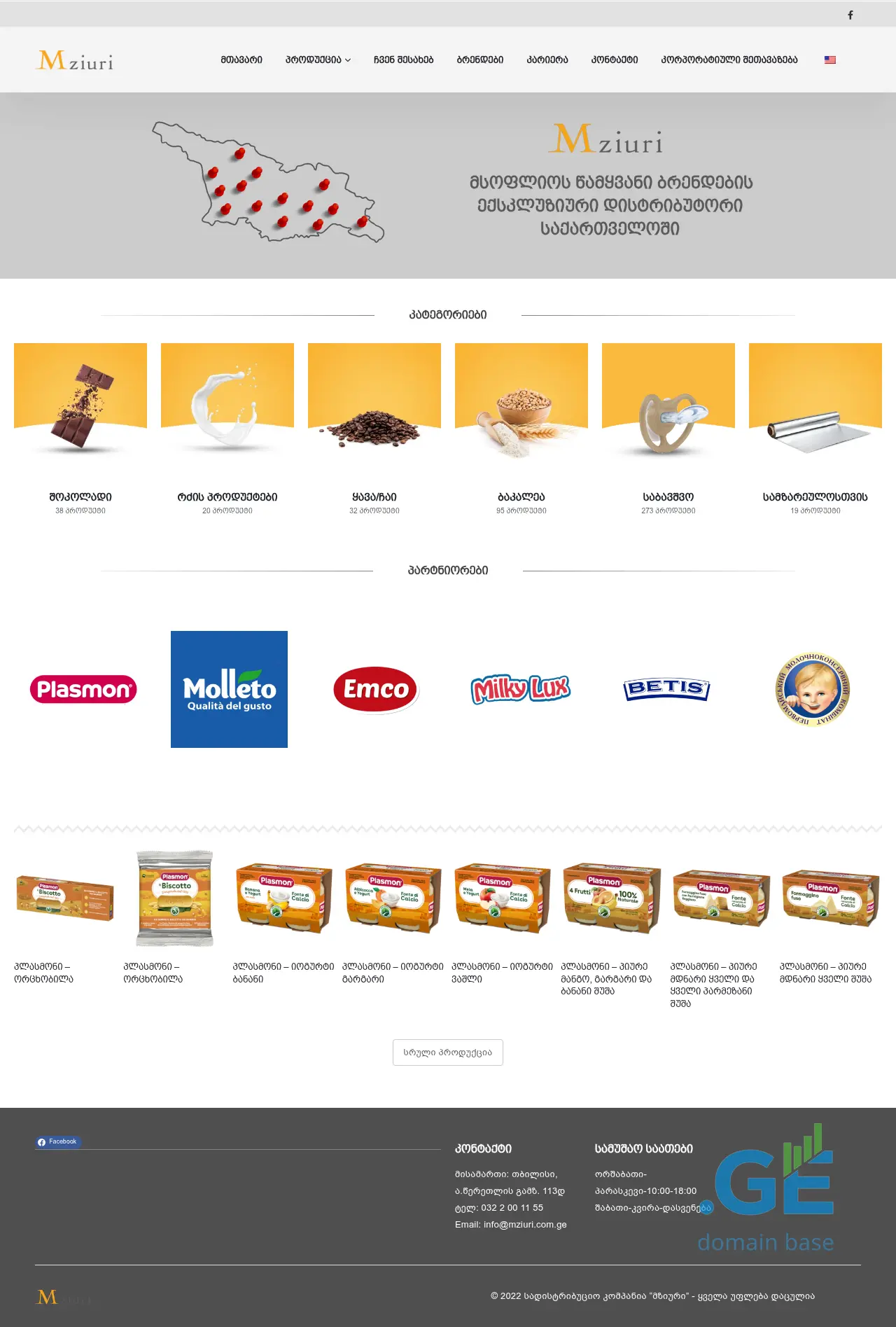 Screenshot of the site mziuriholding.ge