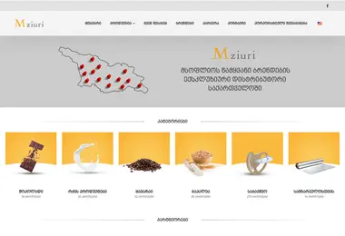 Screenshot of mziuriholding.ge