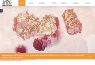 Screenshot of nakvalevi.org.ge