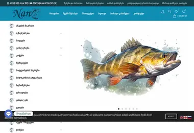 Screenshot of nanoshop.ge