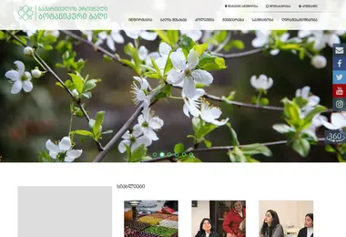 Screenshot of nbgg.ge