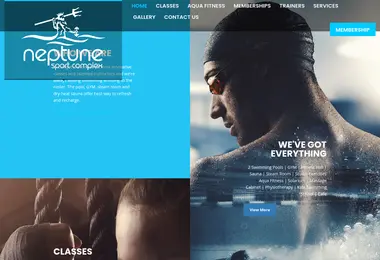 Screenshot of neptune.ge