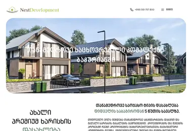 Screenshot of nestdevelopment.ge