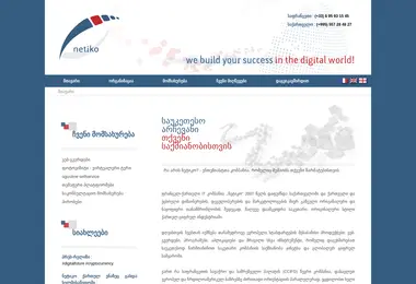 Screenshot of netiko.ge