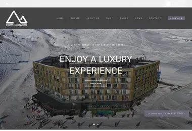 Screenshot of newgudauri.ge