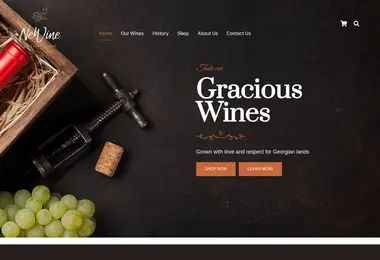 Screenshot of newine.ge