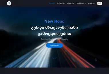 Screenshot of newroad.ge