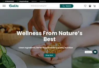 Screenshot of ninelife.ge
