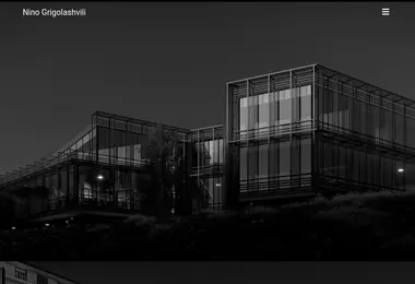 Screenshot of ninogrigolashvili.ge