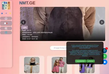 Screenshot of nmt.ge