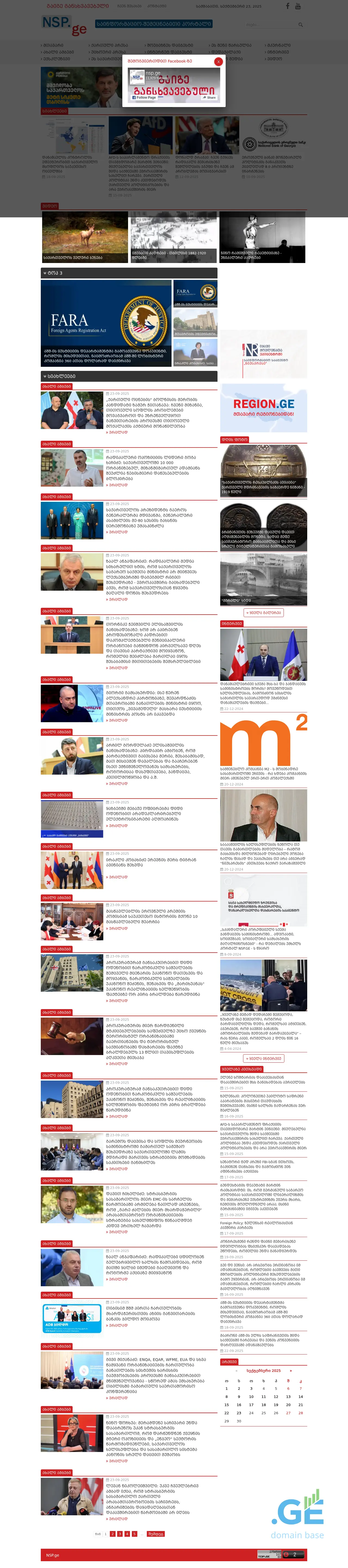 Screenshot of the site nsp.ge