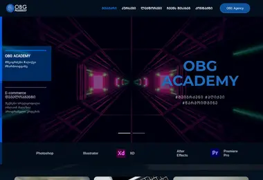 Screenshot of obgacademy.ge