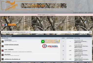 Screenshot of ochopintre.ge
