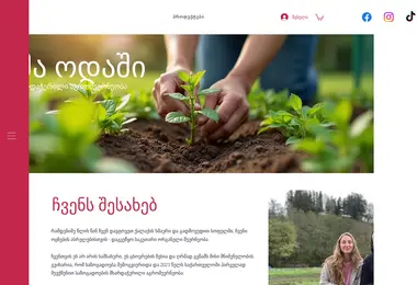 Screenshot of odashifarm.ge
