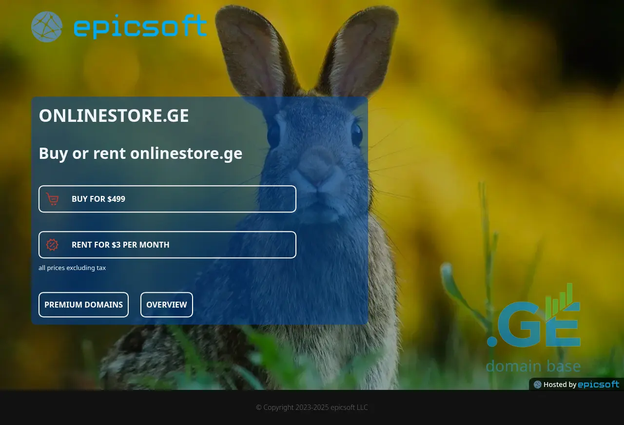 Screenshot of the site onlinestore.ge