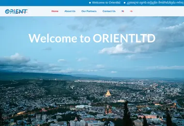 Screenshot of orientltd.ge