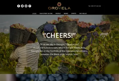 Screenshot of orovela.ge