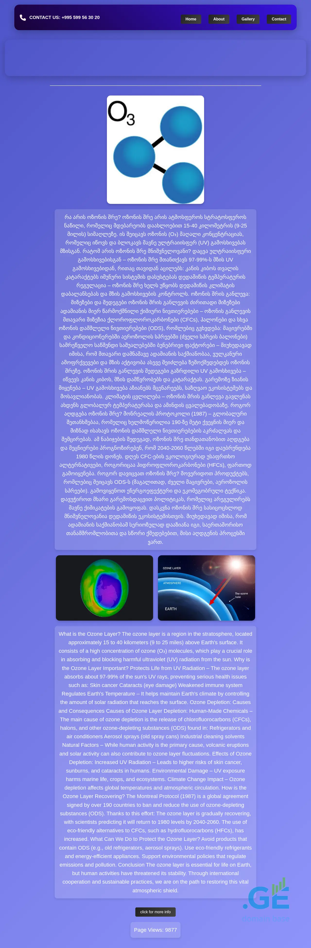 Screenshot of the site ozon.ge