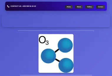 Screenshot of ozon.ge