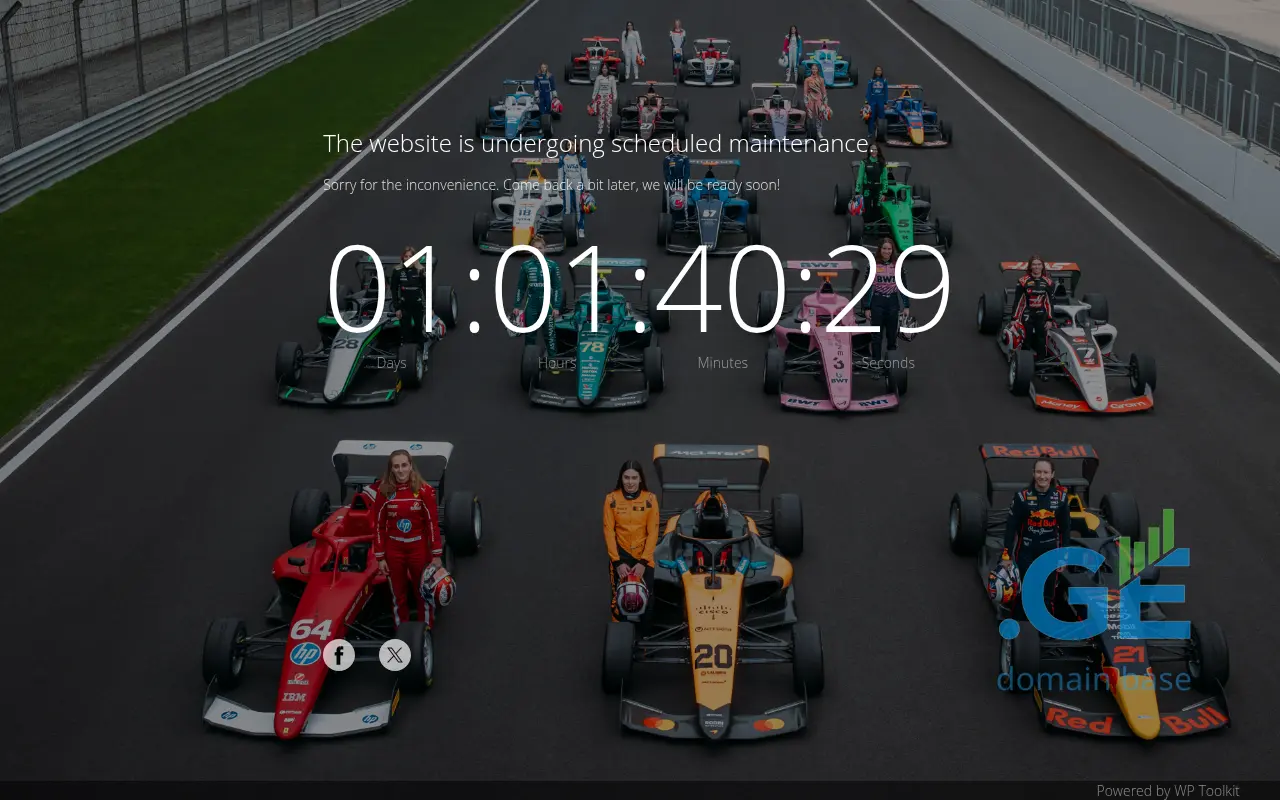 Screenshot of the site paddock.ge