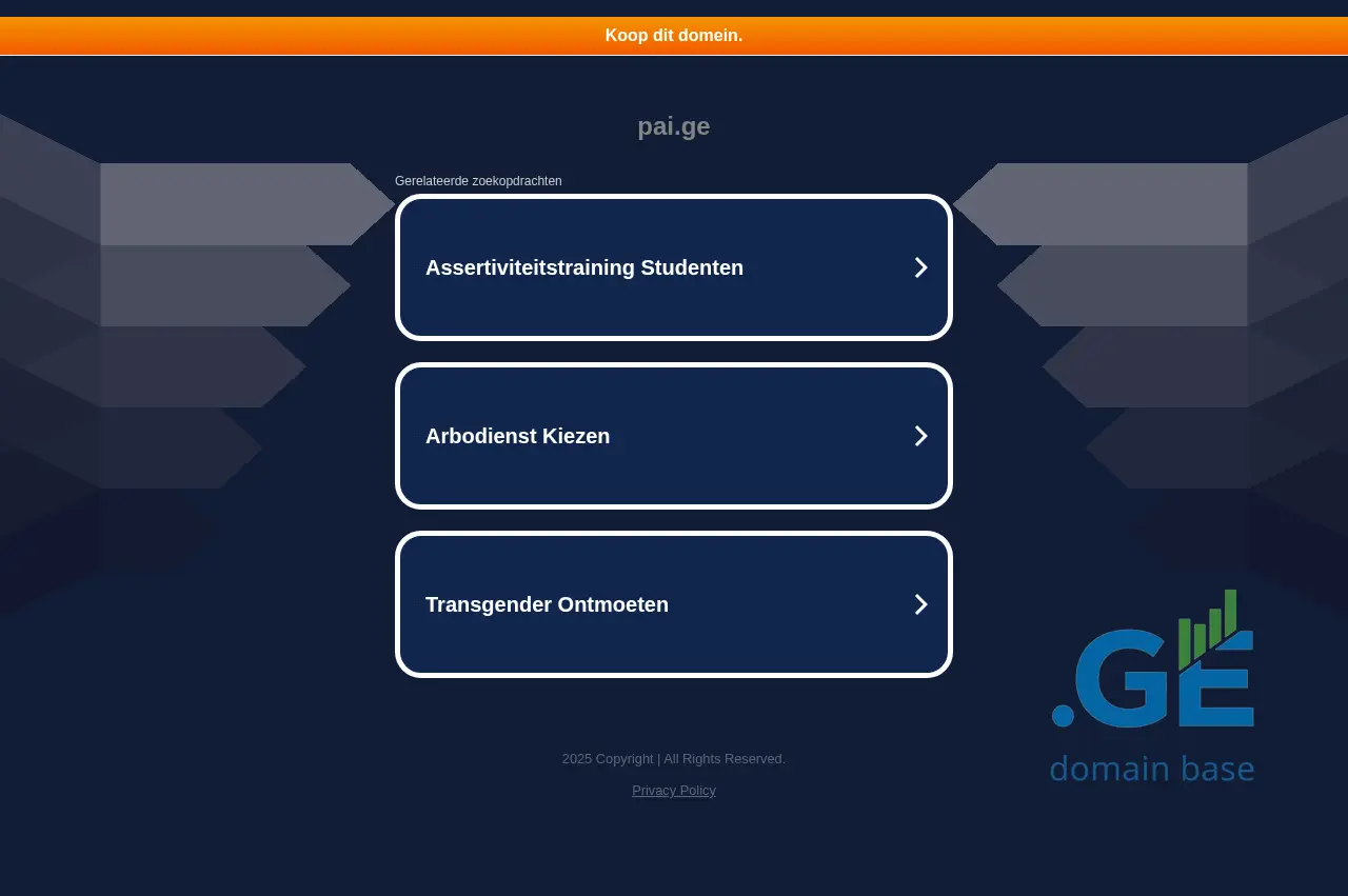 Screenshot of the site pai.ge