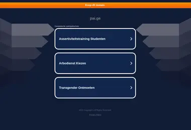 Screenshot of pai.ge